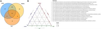 Comparative analysis of the intestinal microbiome in Rattus norvegicus from different geographies